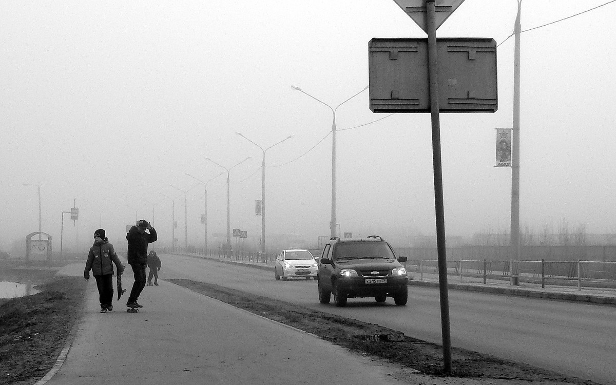 Прогулка в тумане - Елена Перевозникова