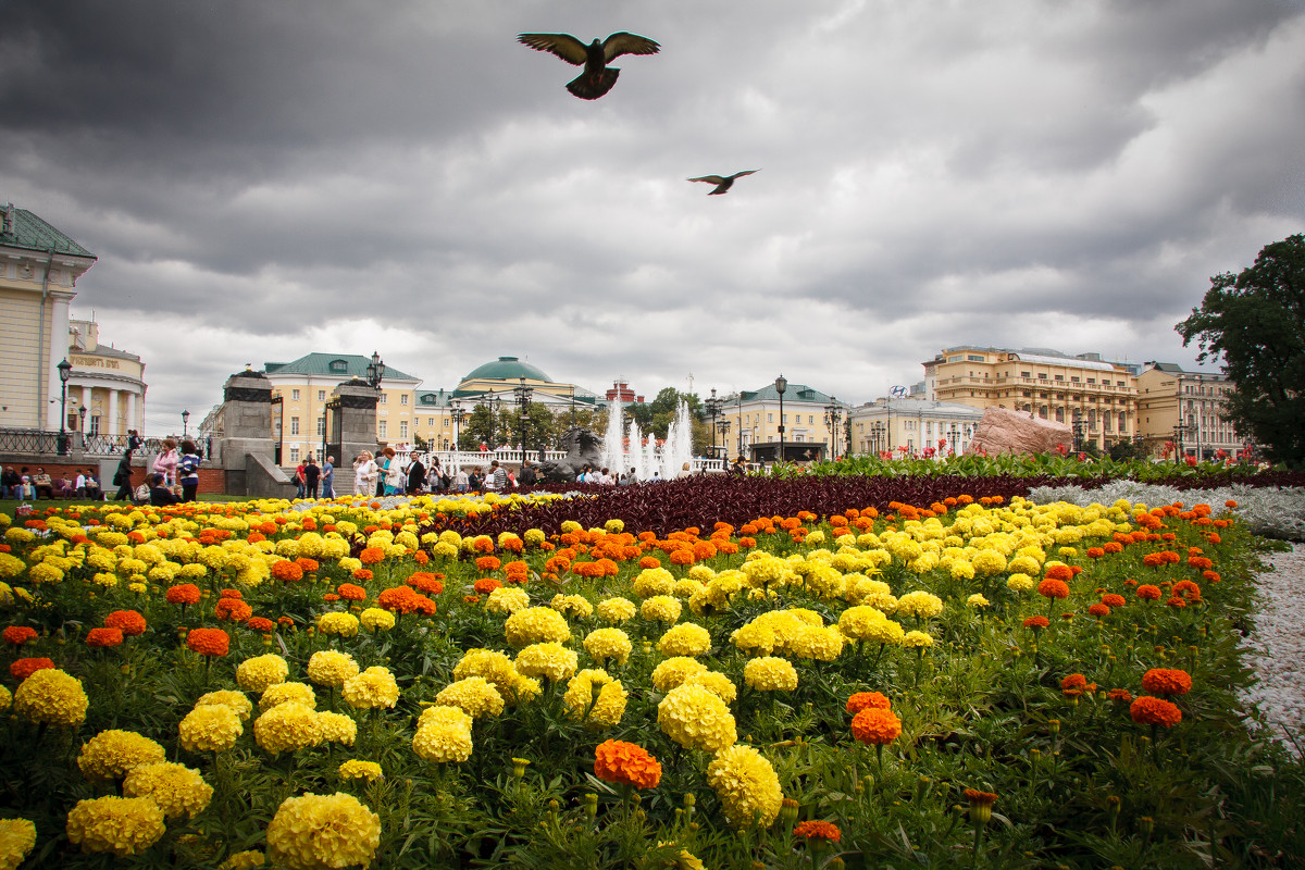 Тучи над Александровским садом - Наталья Аракчеева