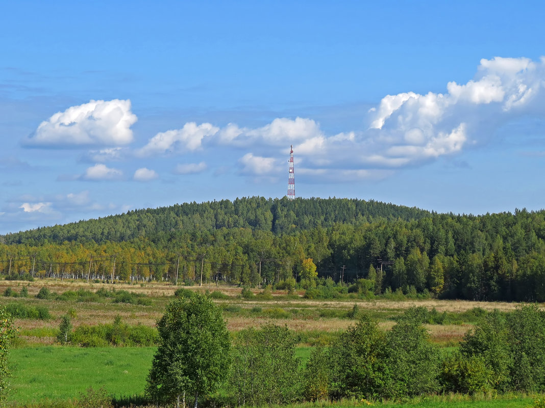 --- - Александр Смирнов