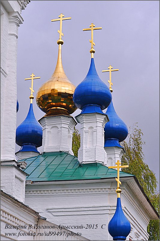 ПЛЕССКИЕ  МАКОВКИ - Валерий Викторович РОГАНОВ-АРЫССКИЙ