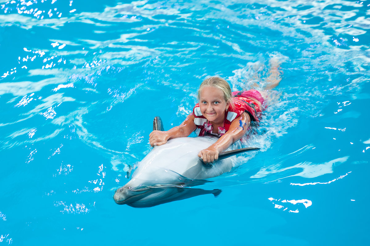 купание с дельфином - Кристина Волкова(Загальцева)
