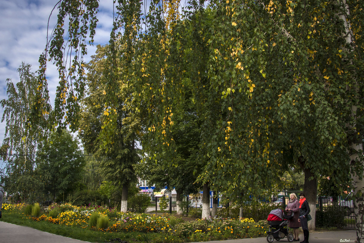 Осень в городе 3 - Юрий 