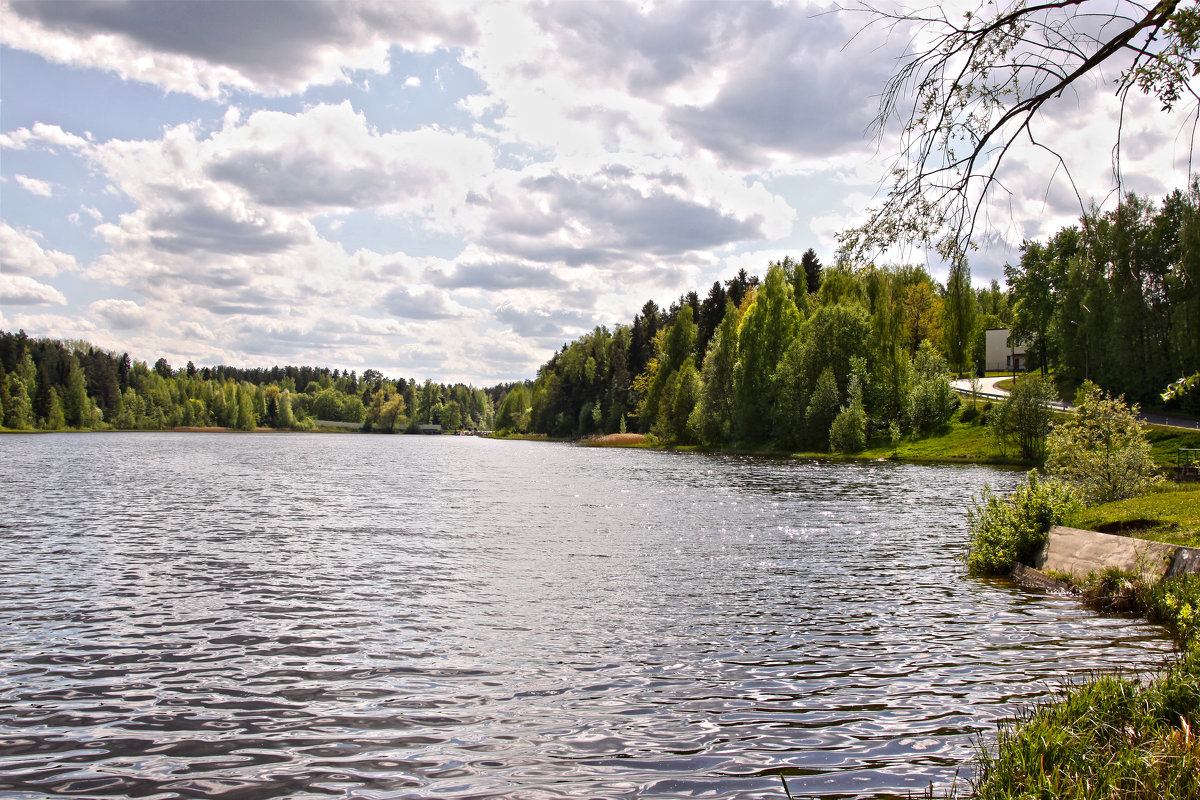 Солнечно - Наталья 