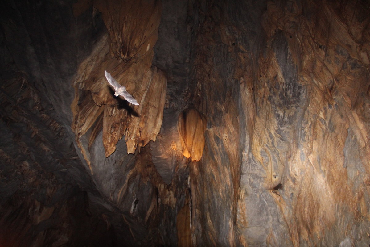 в пещере - Валентина 