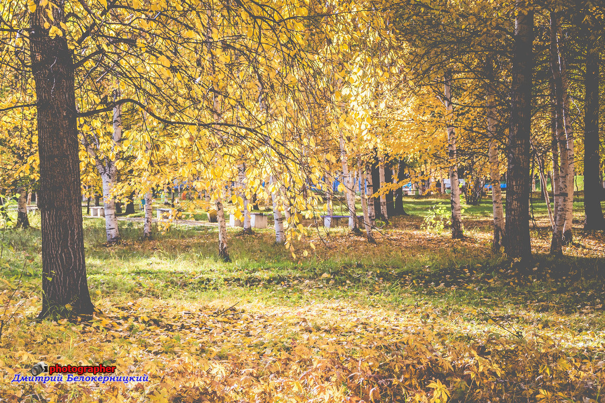 Осень - Дмитрий 