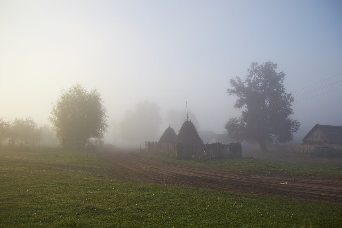 туман в селе - Седа Ковтун