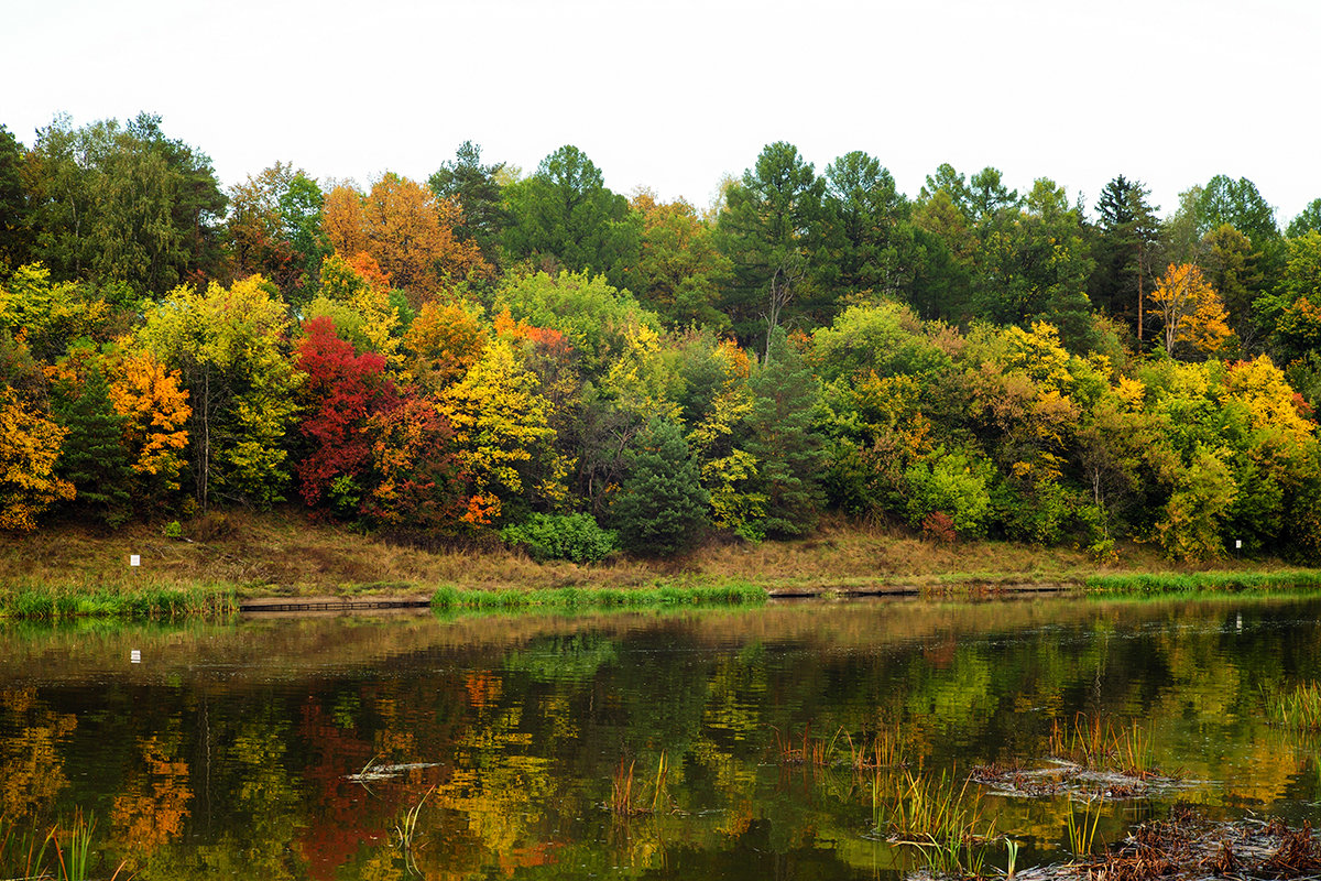 palette of autumn - Zinovi Seniak