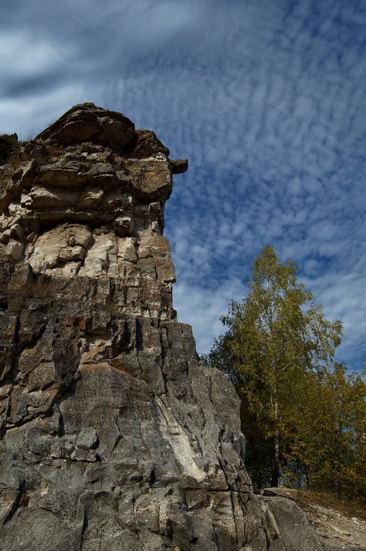 * - Александр Попов