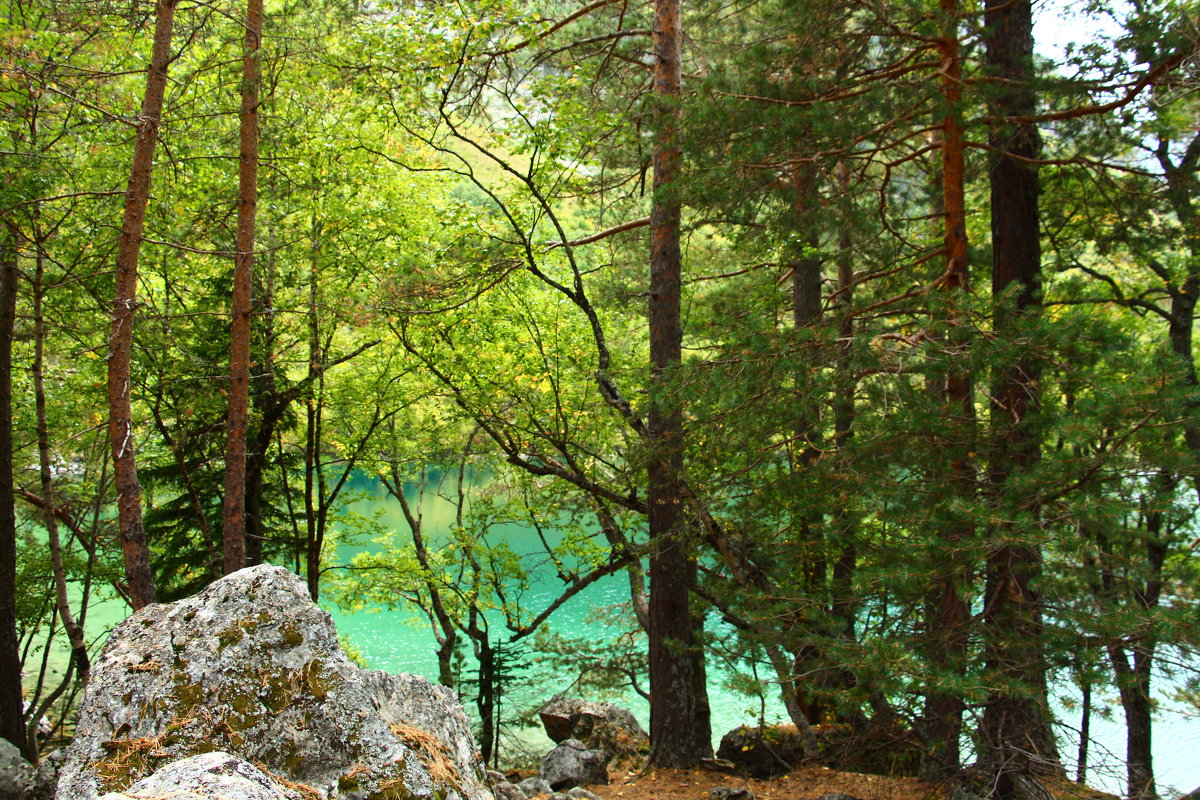 Горное озеро - Ольга 