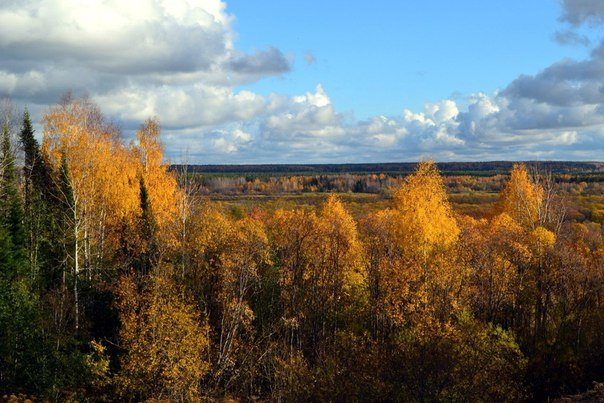 Сентябрьский пейзаж в окрестностях Усть-Выми - Николай Туркин 