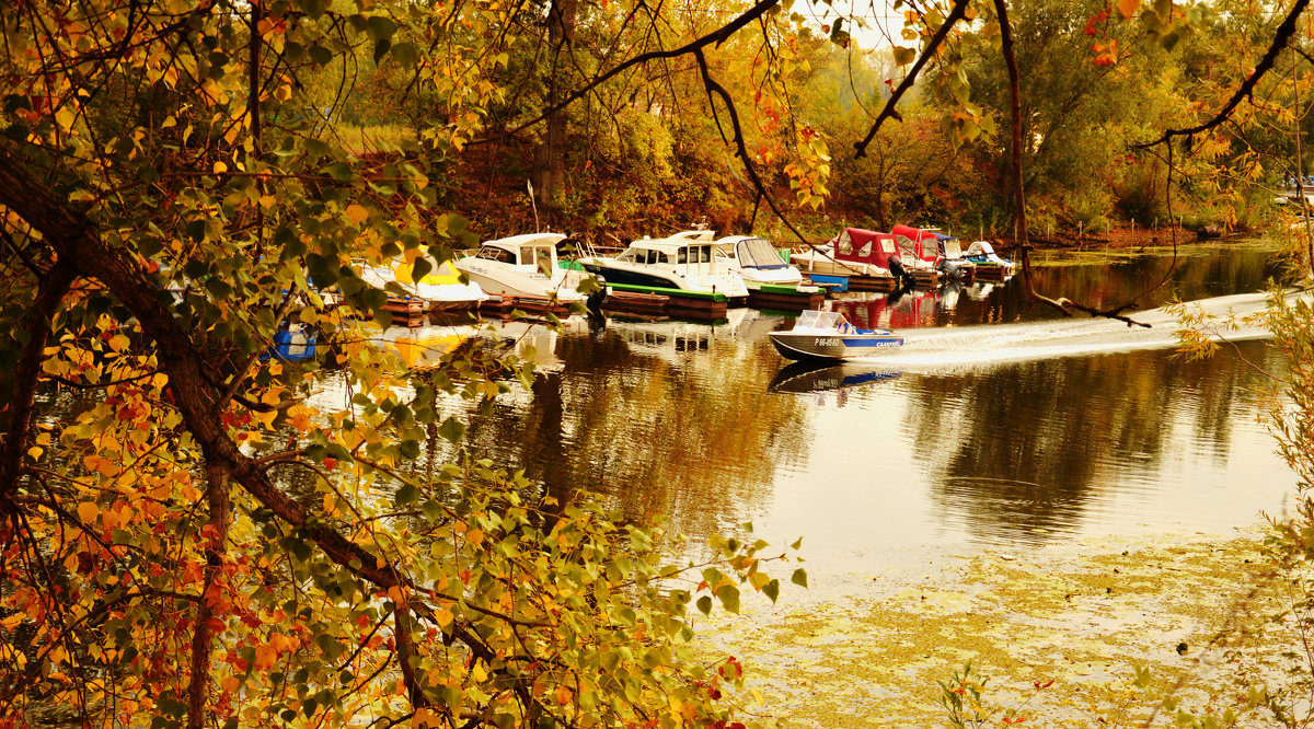 Осень на реке - Вероника Подрезова