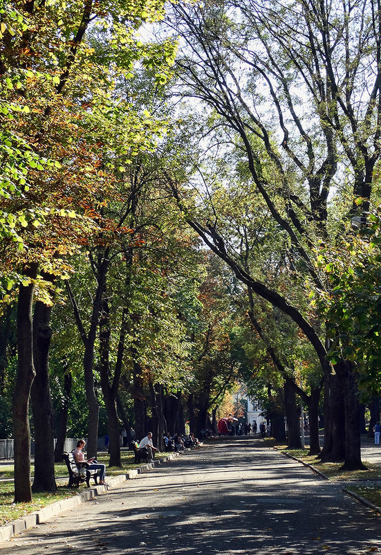 Осень в парке Владимирская горка - Владимир Бровко