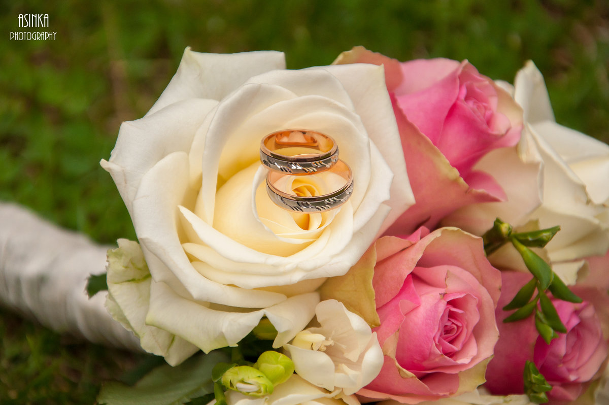 Wedding rings - Asinka Photography