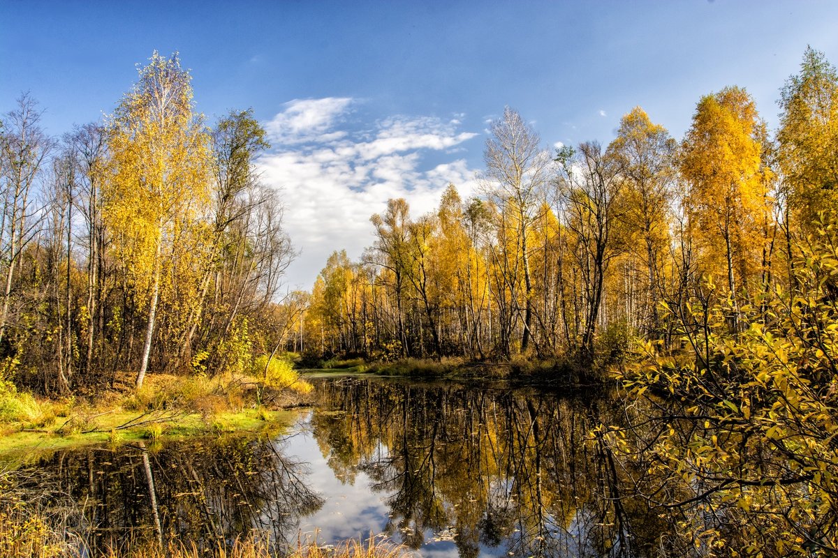 autumn - Dmitry Ozersky