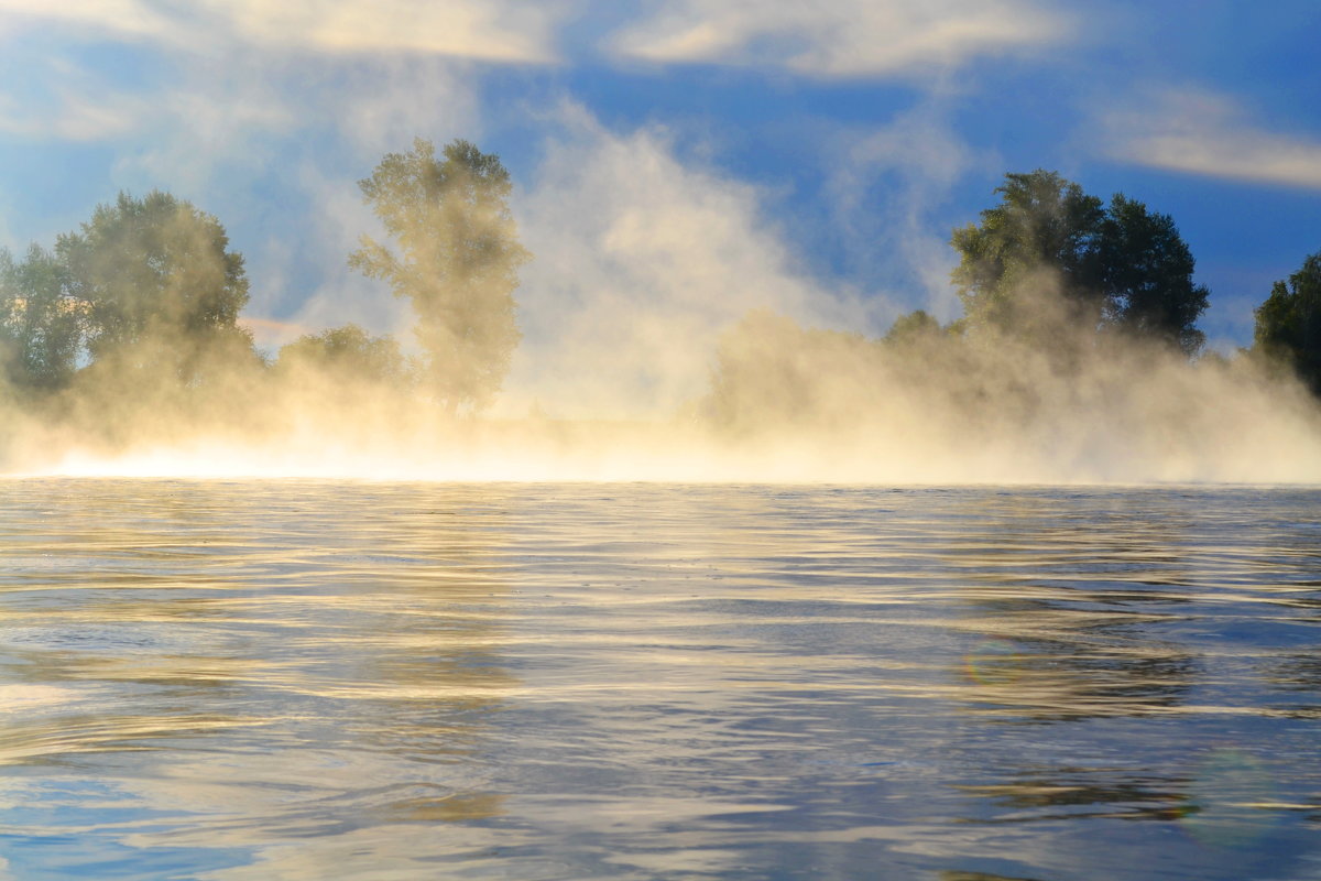 На реке ранним утром - николай матюшенков