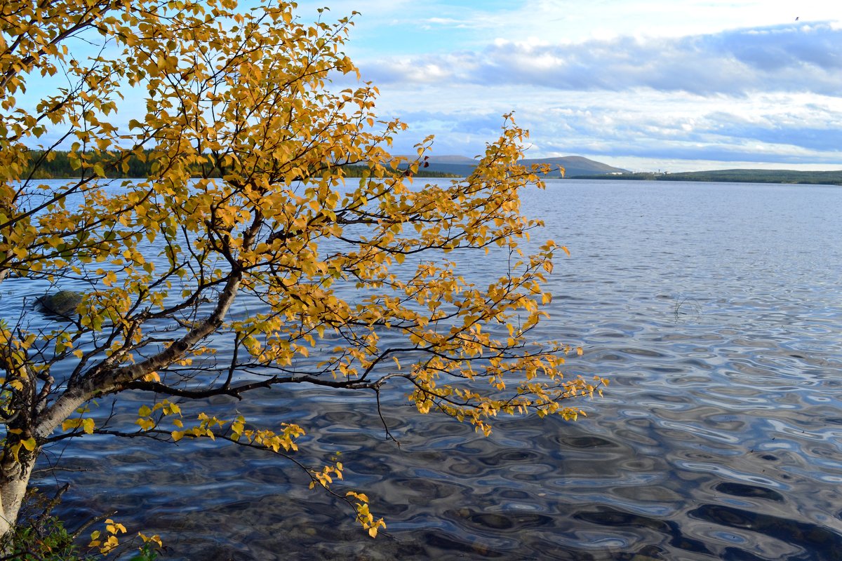 Осень у озера - Ольга 