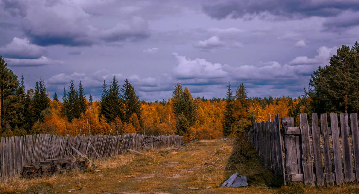 осень разукрасила.. - Светлана 