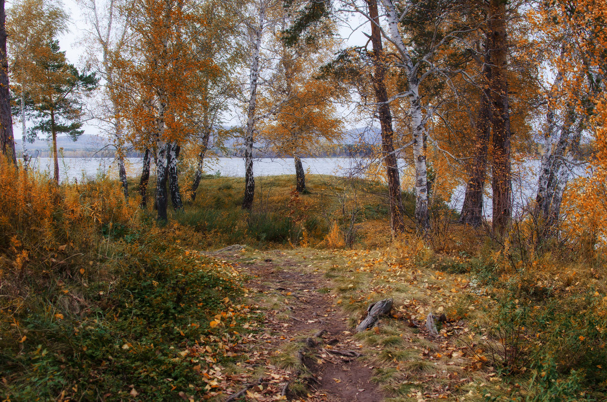 Осень, чудная пора - Сергей Адигамов