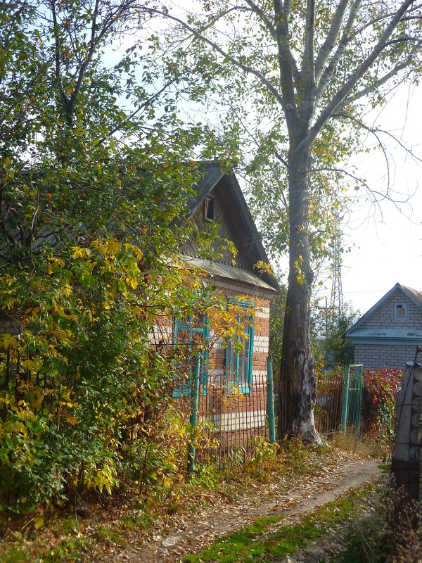 Домик в саду-огороде. - НАДЕЖДА КЛАДЧИХИНА