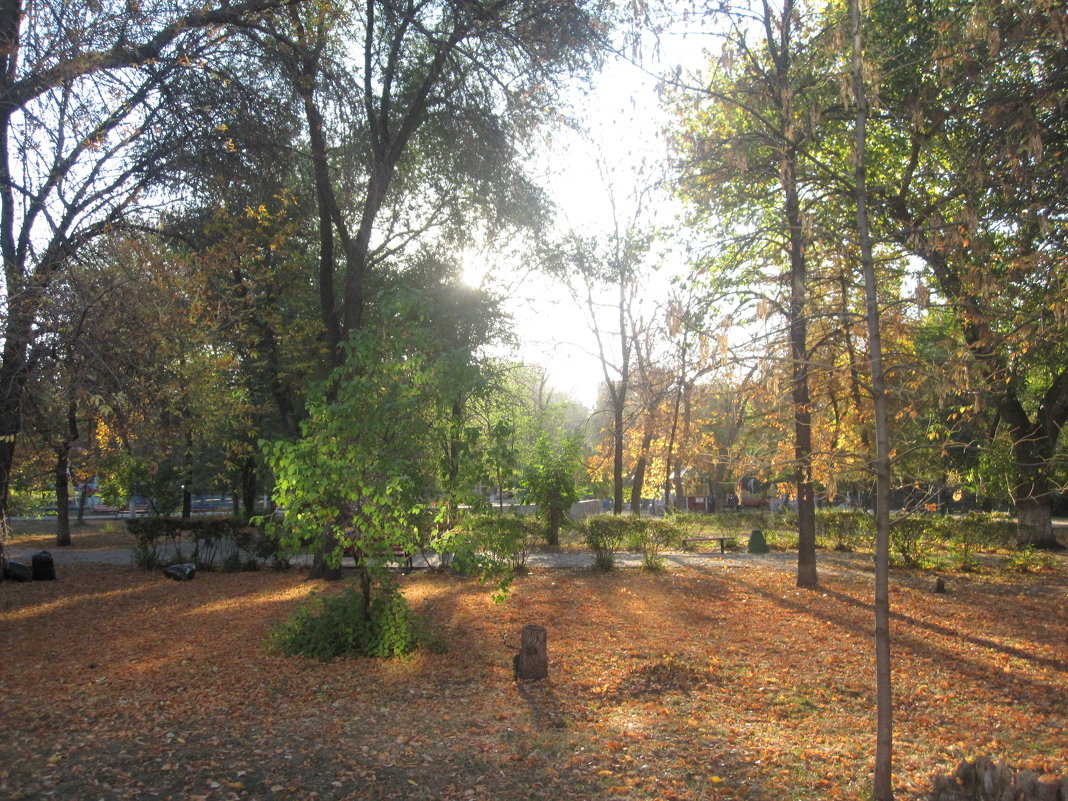 Осень в парке - Алексей Аржаков