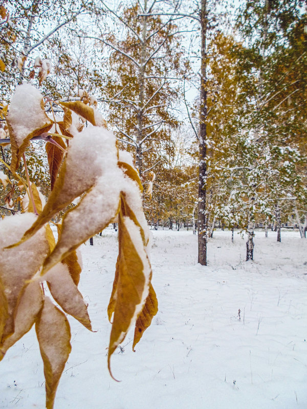 первый снег - Иван 