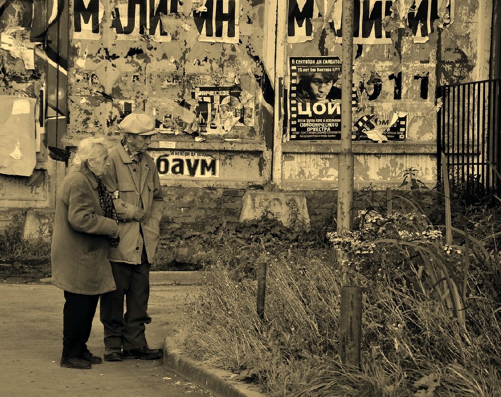 Любование цветами... - Витас Бенета