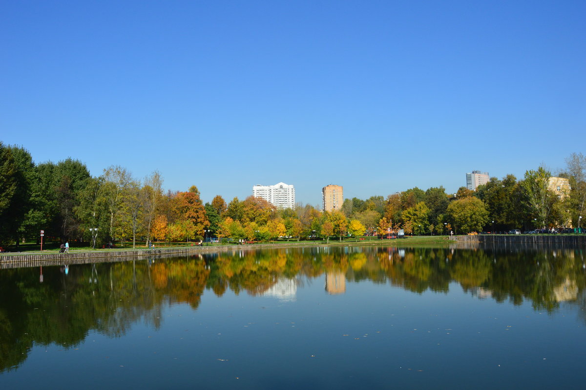 Осень в городе - Арина 