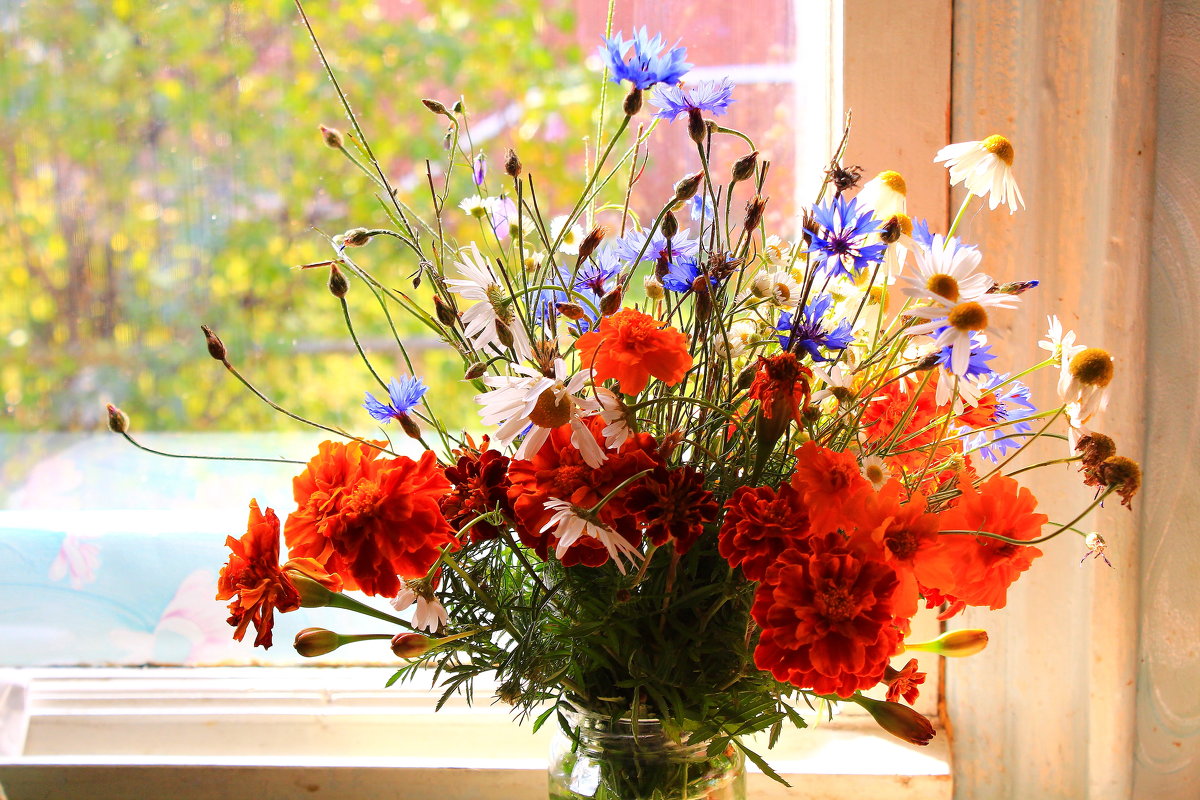 Октябрьские цветы моим друзьям - Татьяна Ломтева