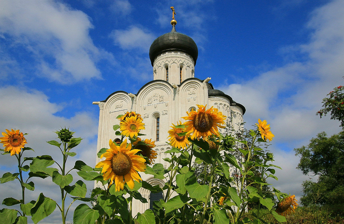 Церковь Покрова на Нерли. - Александр Теленков