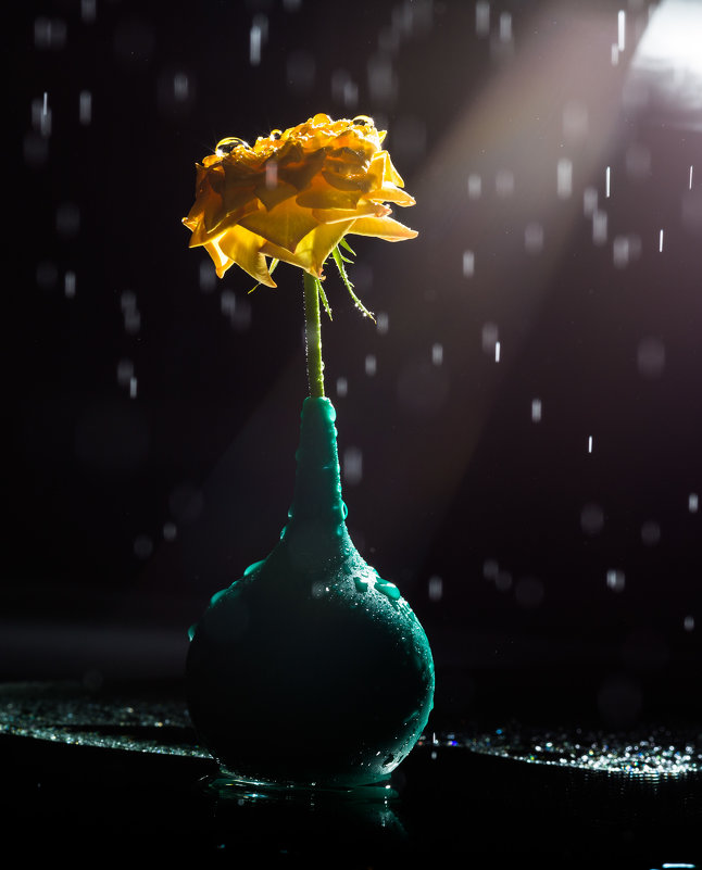 Роза под осенним дождем... - Sergey Apinis