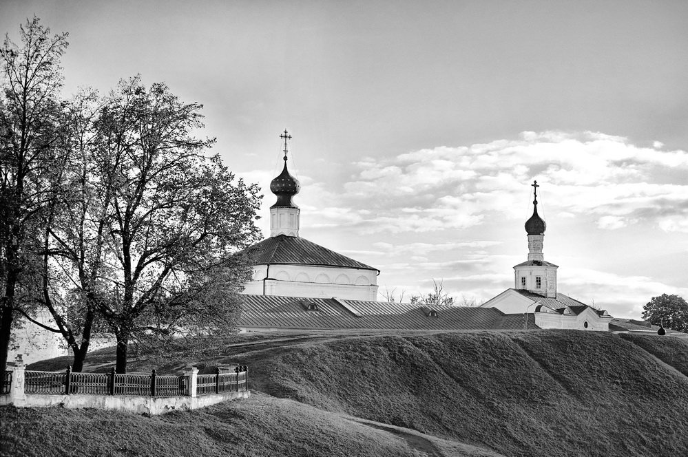 Рязанский историко-архитектурный музей-заповедник   - Игорь   Александрович Куликов