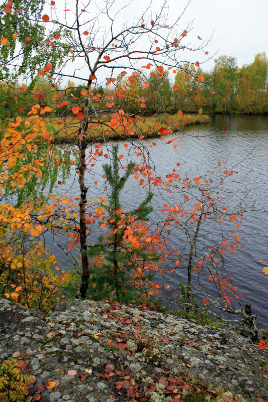 СОЛНЦЕ СЕНТЯБРЯ - Николай Гренков