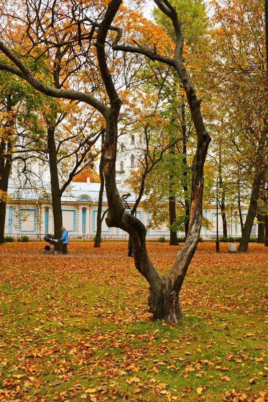 Питер. У Смольного. - Валерий Симонов