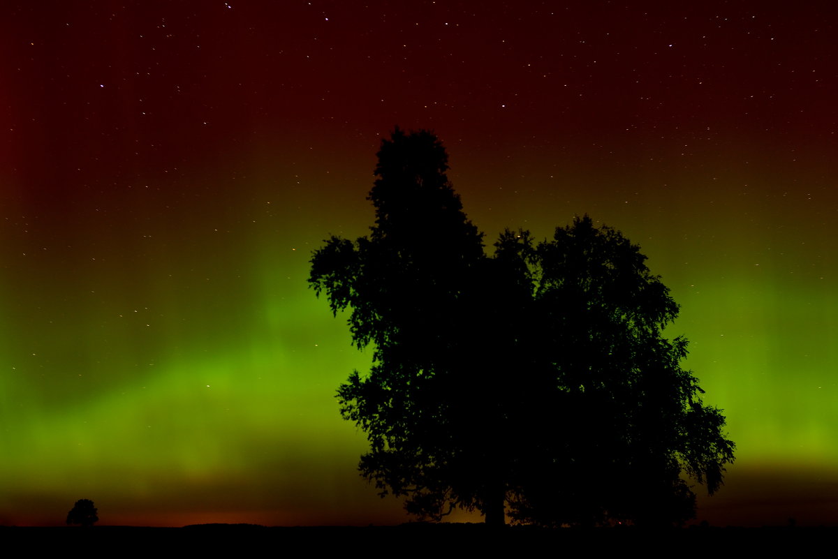 Aurora Borealis - Laimis S