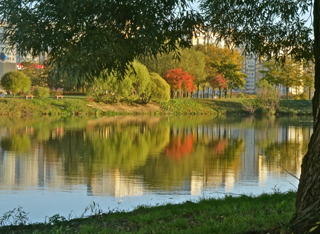 осень в городе - Елена 