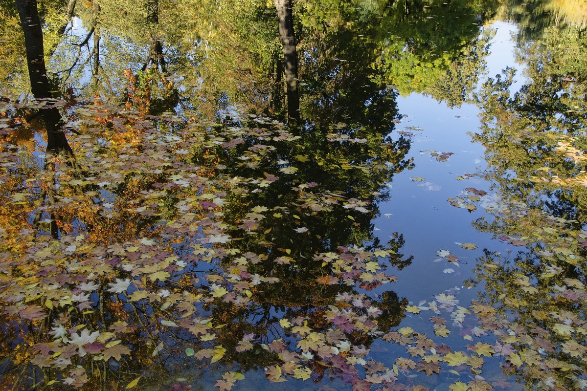 Осень в городе - Kliwo 