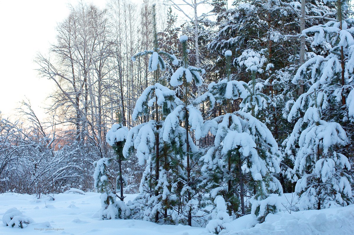 в лесу - Маргарита 