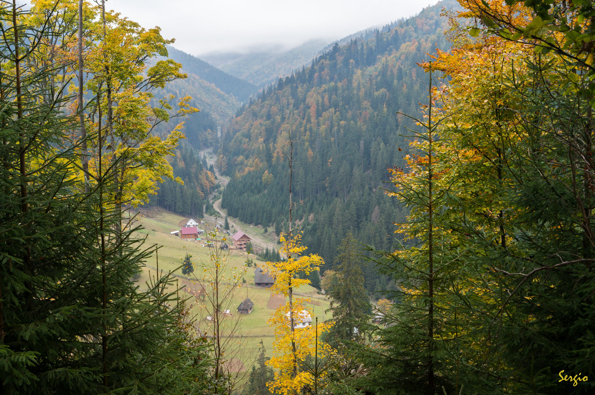 Осень в Закарпатье - Сергей Форос