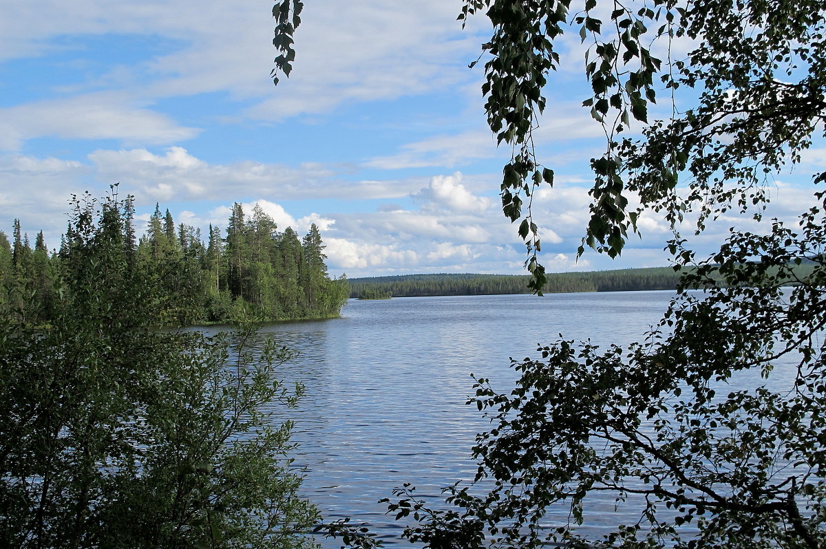 Заповедник Кутса озеро Вуориярви - Нина северянка