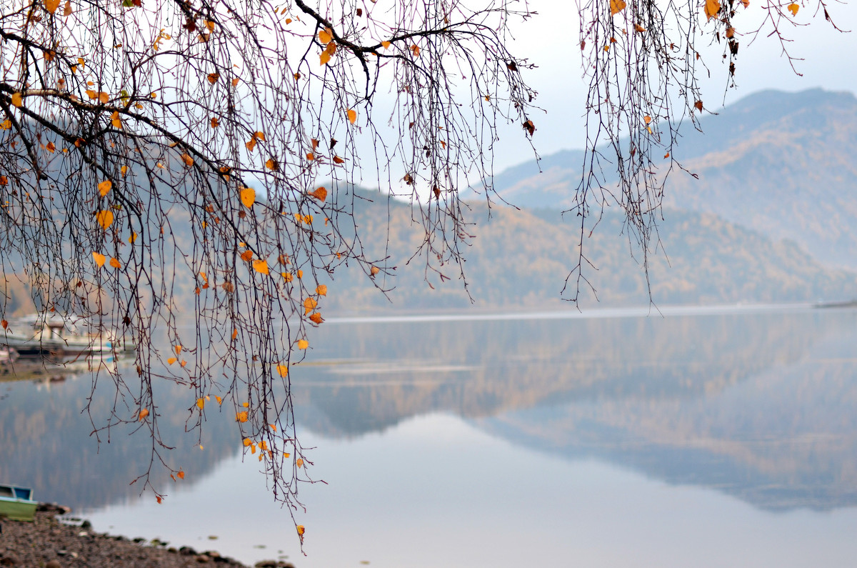 Осень на озере - Владимир Анакин