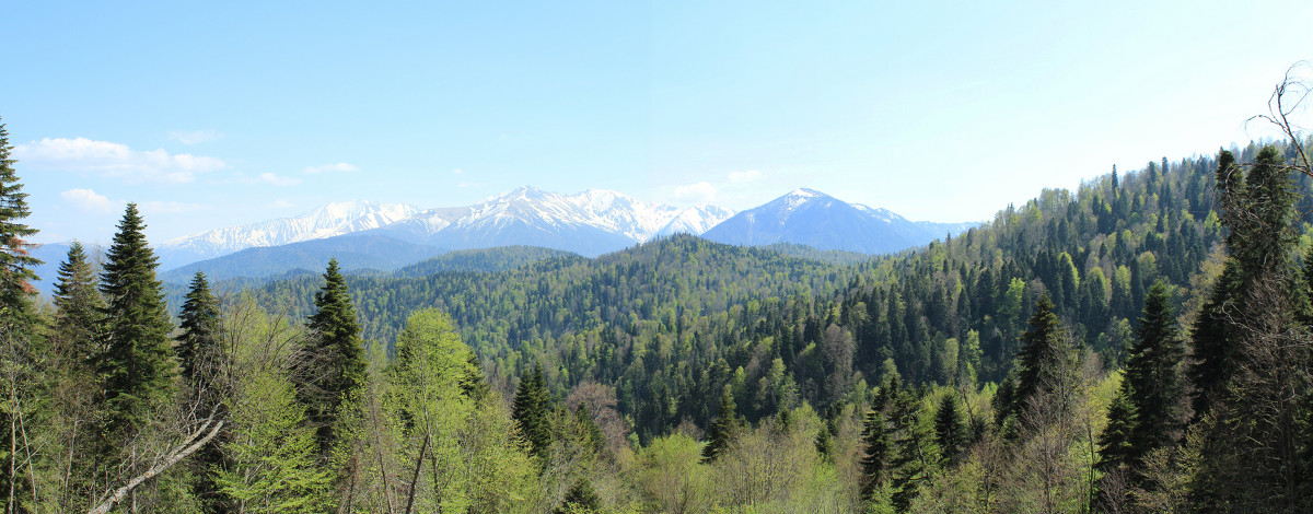 Панорама - Александр Абраменко