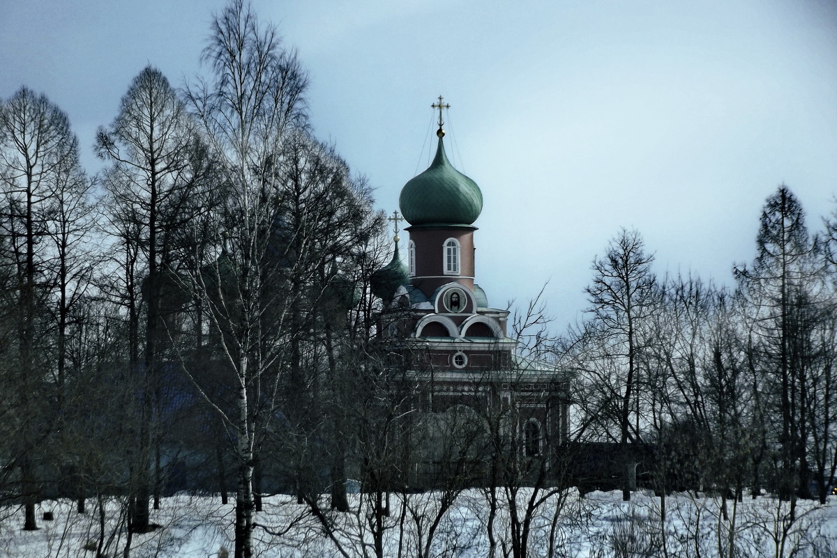 вид на городской собор - Сергей Кочнев