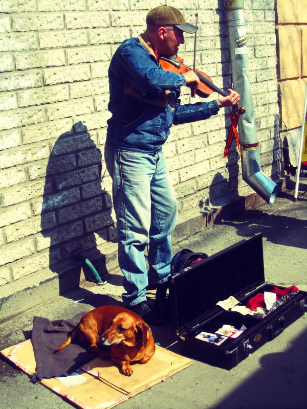 уличный скрипач - татьяна якухина