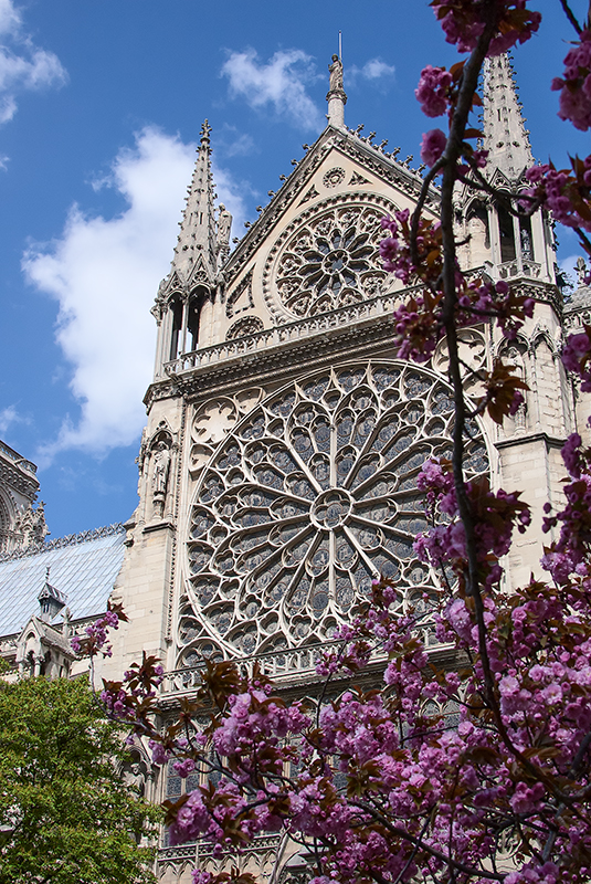 Весенний Notre-Dame de Paris - Андрей Кузнецов