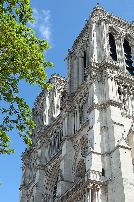 Весенний Notre-Dame de Paris - Андрей Кузнецов
