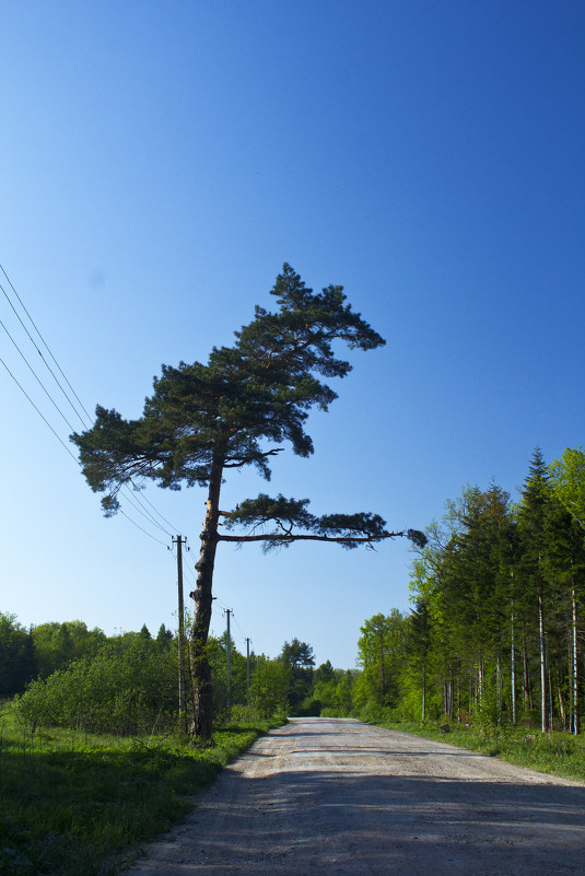 ... - Владимир Хижко