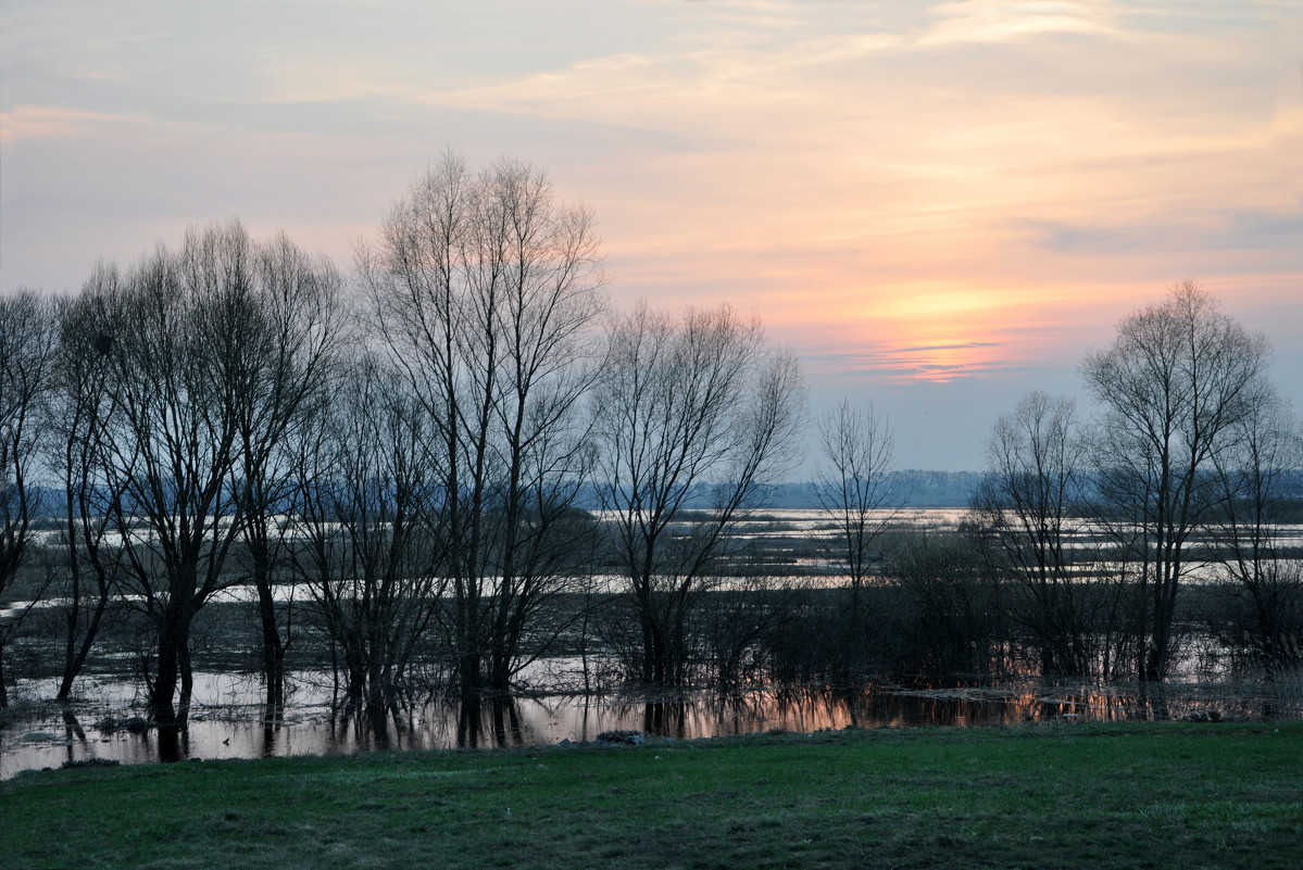 River flood - Lera Komisarchuk