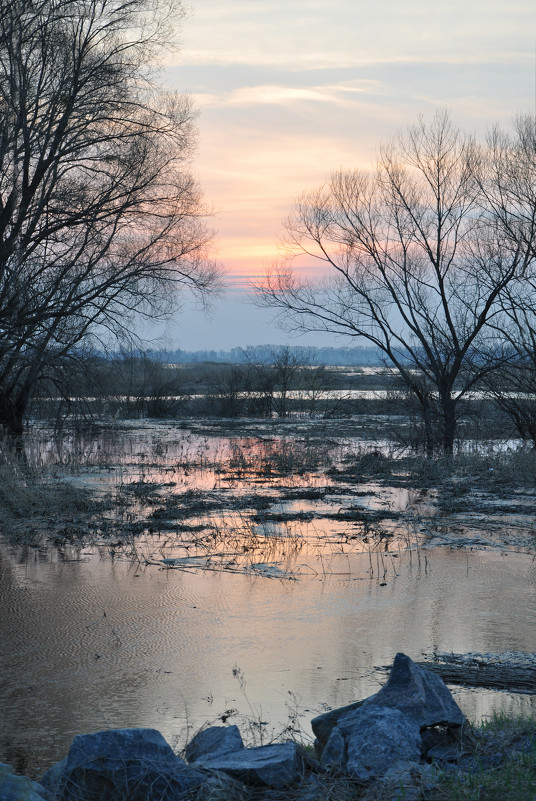 River flood - Lera Komisarchuk