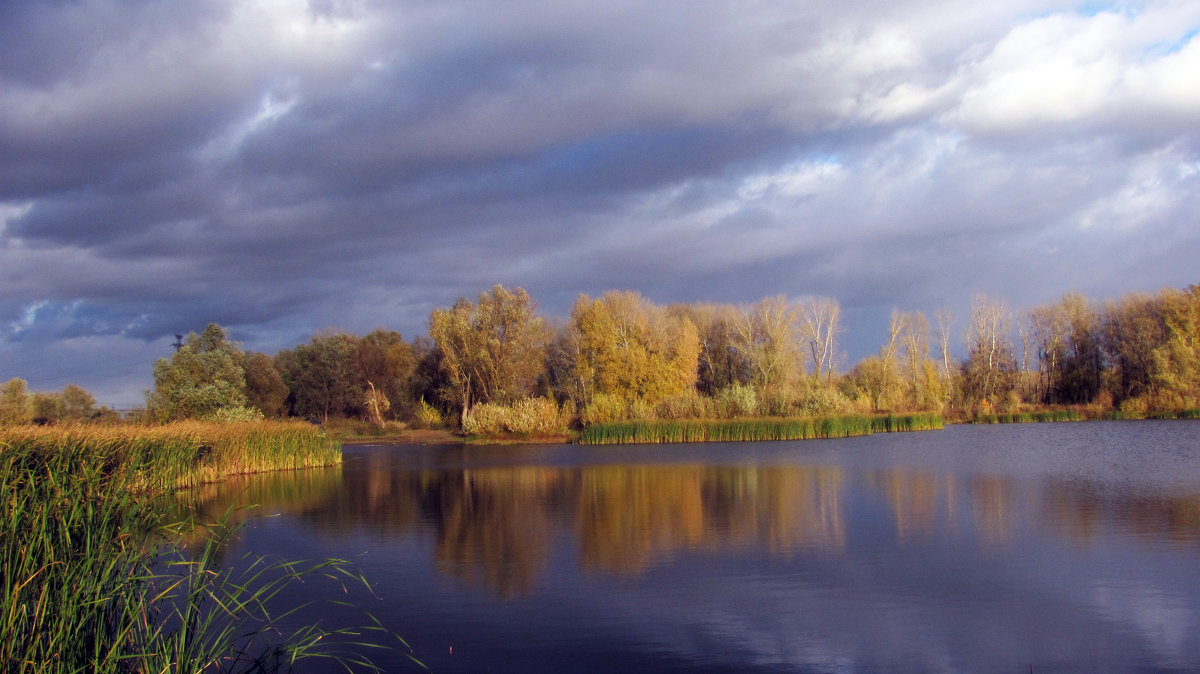 Осень - Александр Алексеев