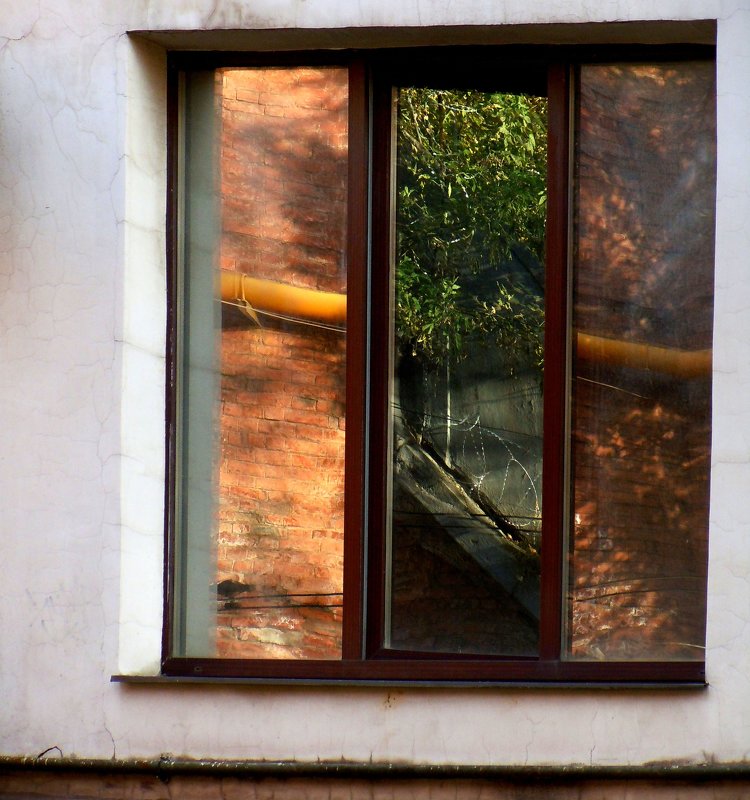 заглядывая в окна - Ольга Заметалова